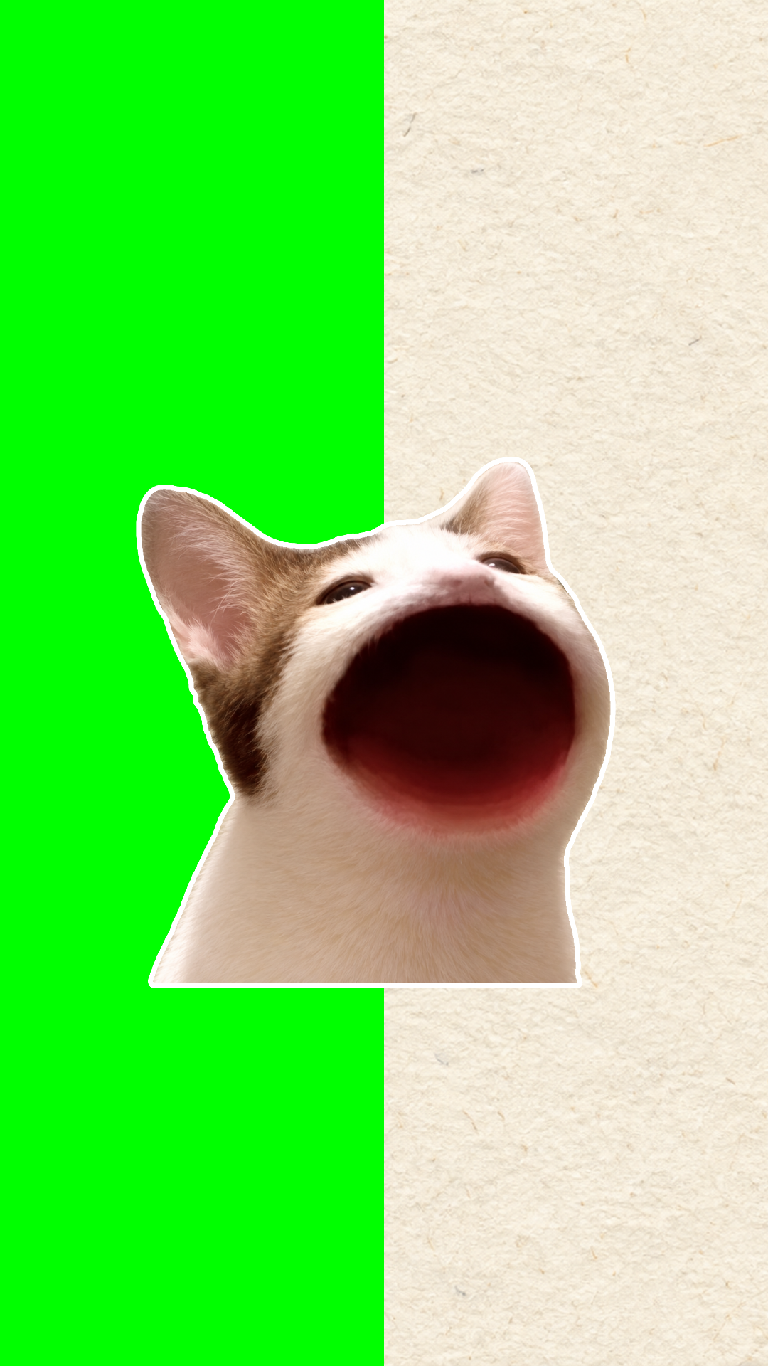Cat paper cutout on green screen and textured paper backgrounds