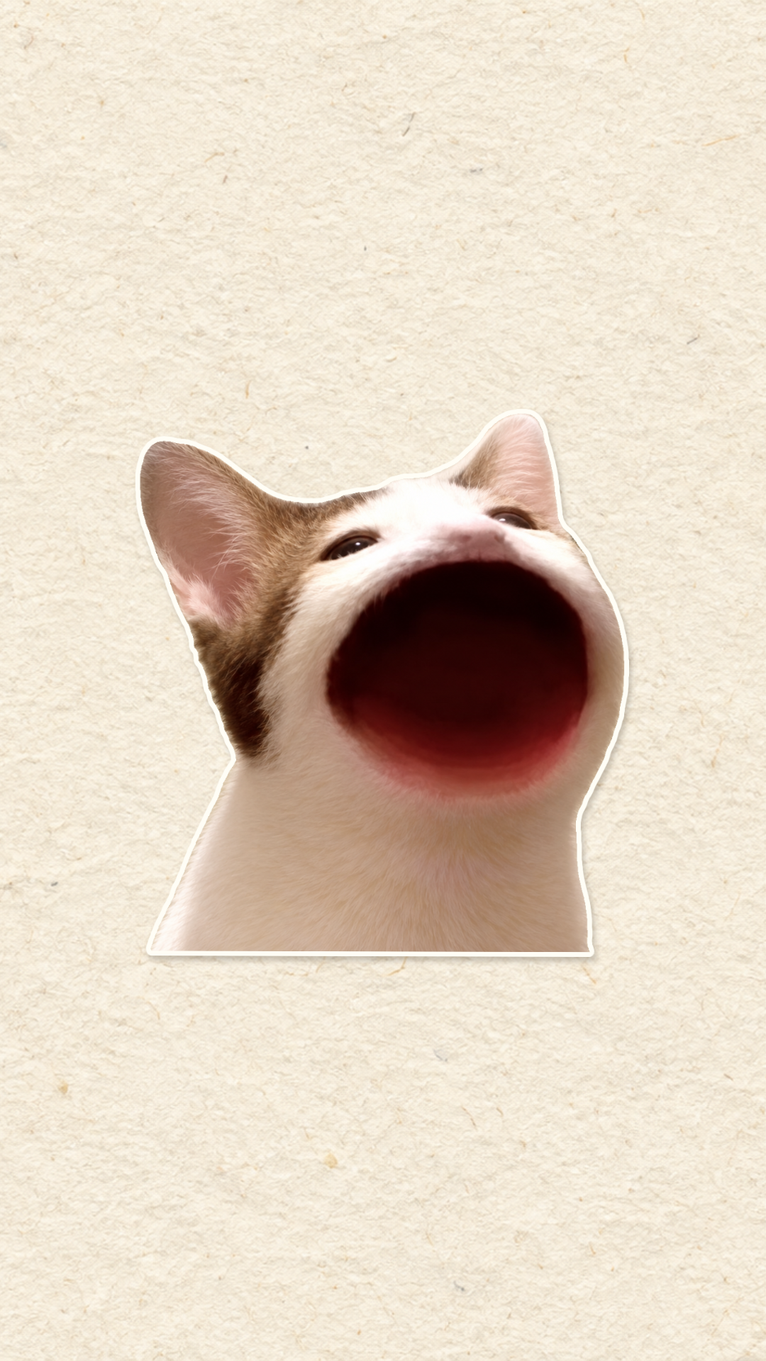 Cat with a white paper cutout border
