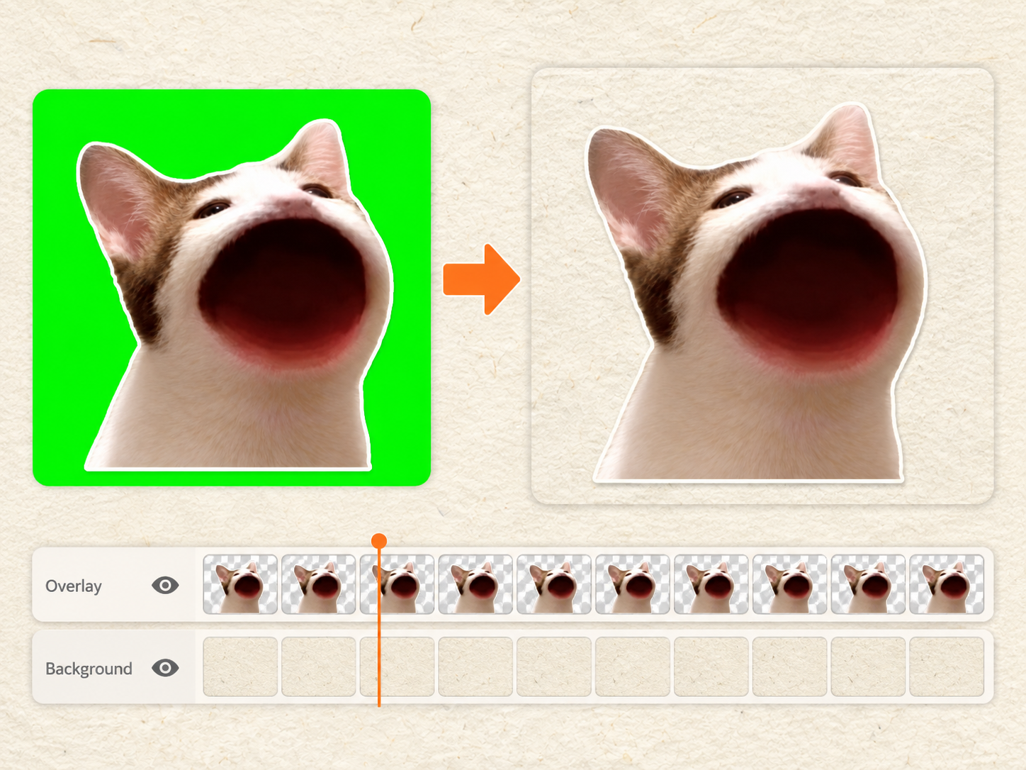 Cat paper cutout shown as a green screen overlay for video editing